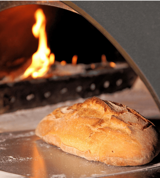 Inside clementi family wood fired pizza oven