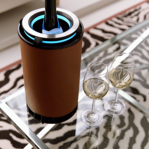 Kaelo Host | Premium Flush Stainless Steel 360 Crown | Portable Chiller